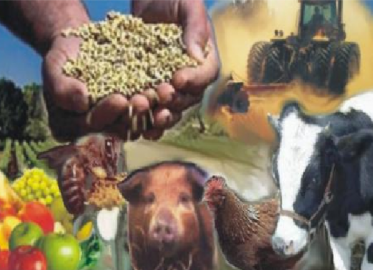 Crédito-Agropecuario-373x270