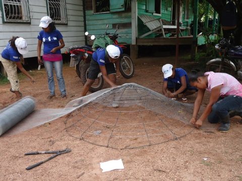 Proyectos PANAPANA