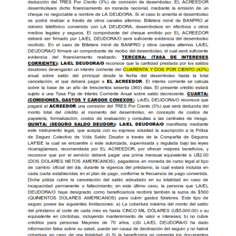 CONTRATO con garantia moviliaria y fianza solidaria_002