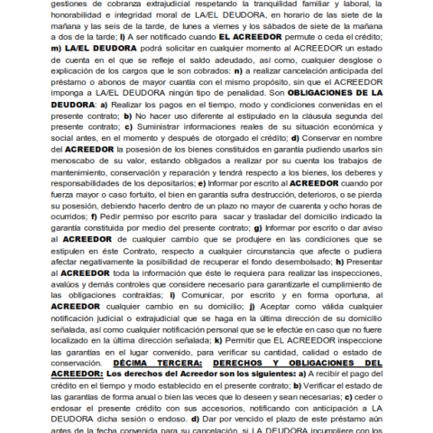CONTRATO con garantia moviliaria y fianza solidaria_006